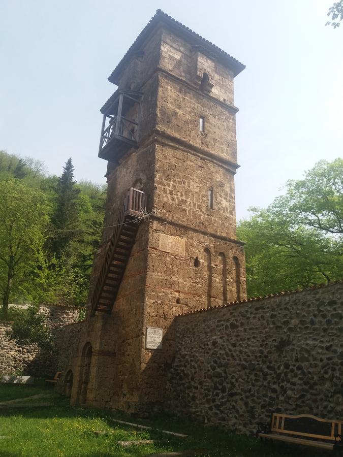 Guest House Darejani 库塔伊西 外观 照片